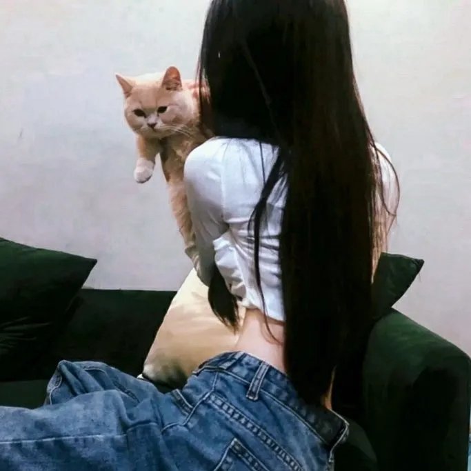 舒克贝塔第四季